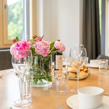 Appartementen Schmittenblick *