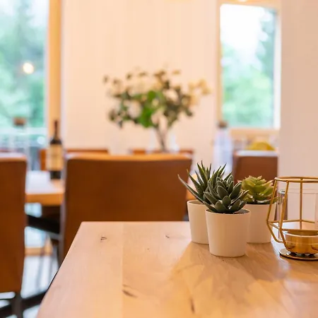 Appartementen Schmittenblick