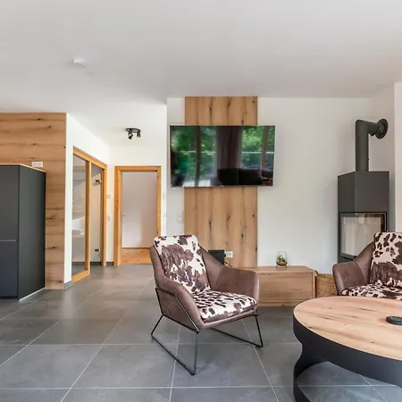 Appartementen Schmittenblick Apartment